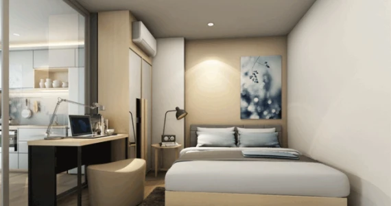 รูปภาพ ไซมิส นางลิ้นจี่ (Siamese Nang Linchee)