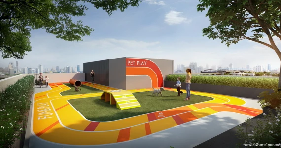 รูปภาพ บริกซ์ตัน เพ็ทแอนด์เพลย์ สุขุมวิท 107 (Brixton Pet & Play Sukhumvit 107)