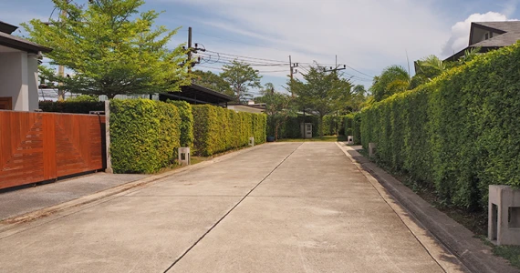 รูปภาพ โตนด เอสเตท (Tanode Estate)