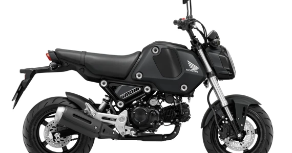 รูปภาพ ฮอนด้า Honda MSX125 GROM (STD) ปี 2020