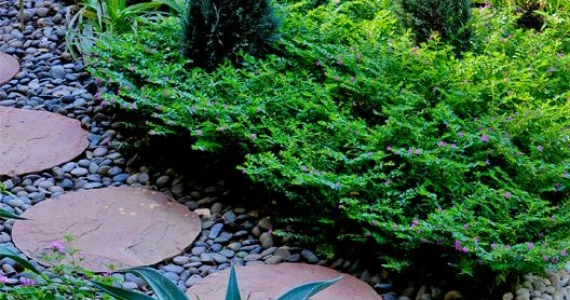 รูปภาพ วิลล่าโนวา เขาใหญ่ (Villanova Khaoyai)