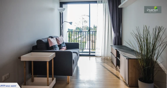 รูปภาพ พาณา ลำลูกกา - คลอง 6 (Pana Lamlukka - Klong 6)