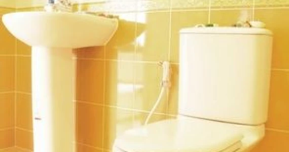 รูปภาพ เดอะ วิสด้อม เบิร์ก (The Wisdom Burg)