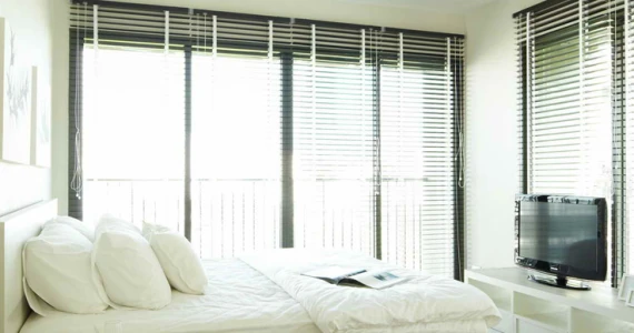 รูปภาพ โนเบิล โซโล (Noble Solo)