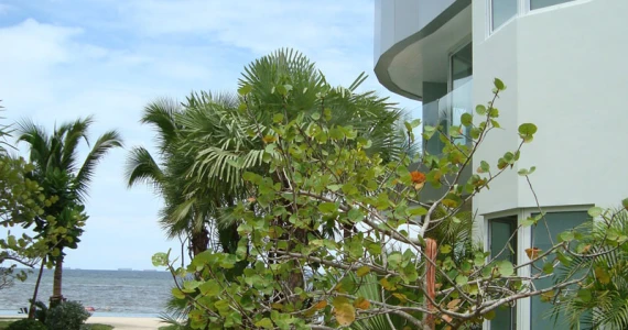 รูปภาพ โอเชียน เอจ (Ocean's Edge)