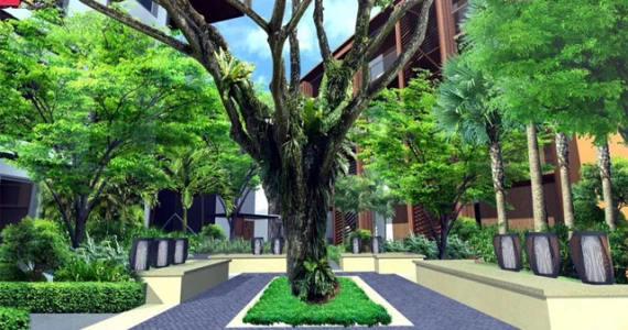 รูปภาพ พาคาทัส (Pacatas)