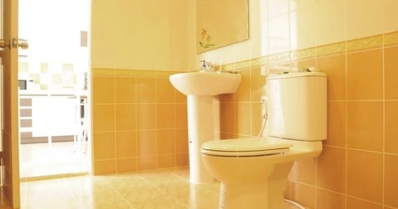 รูปภาพ เดอะ วิสด้อม เบิร์ก (The Wisdom Burg)