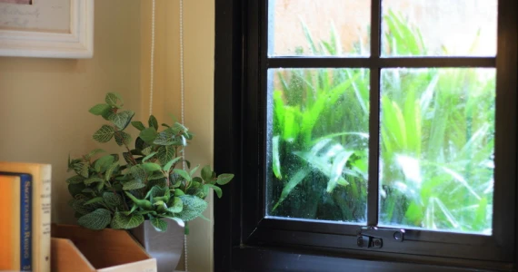 รูปภาพ เดอะ พาลาซเซตโต้ พหลโยธิน กม.64 (The Palazzetto Phaholyothin 64)