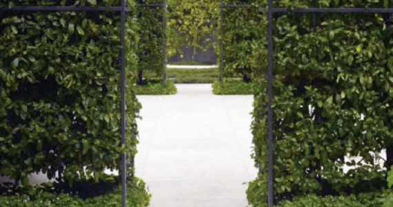 รูปภาพ โซล เอกมัย - ลาดพร้าว (Soul Ekamai - Ladprao)