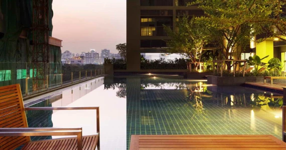 รูปภาพ โนเบิล โซโล (Noble Solo)