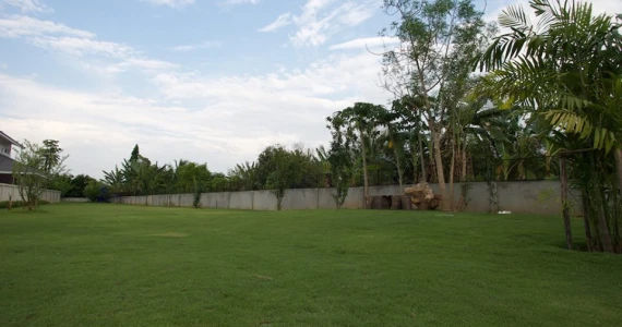 รูปภาพ เดอะ โฟลว์ (The Flow)