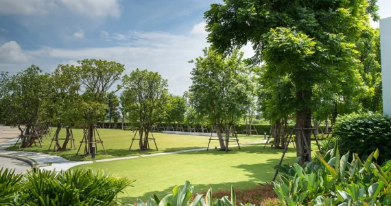 รูปภาพ คณาสิริ ชัยพฤกษ์ - วงแหวน (Kanasiri Chaiyapruek - Wongwaen)