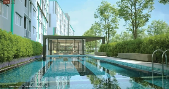 รูปภาพ นิช ไอดี เสรีไทย-วงแหวน (Niche id Serithai-Wongwaen)