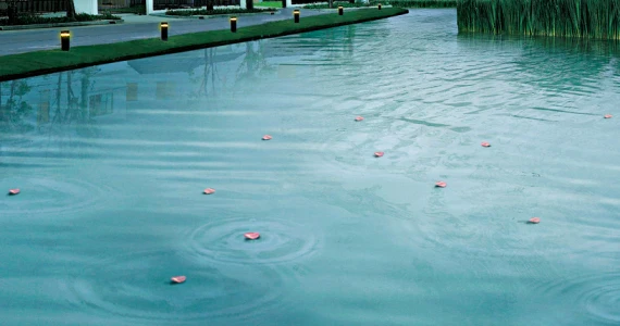 รูปภาพ มัณฑนา เลค วัชรพล (Manthana Lake Watcharapol)