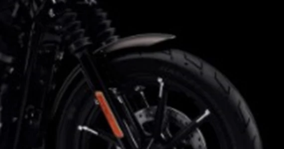 รูปภาพ ฮาร์ลีย์-เดวิดสัน Harley-Davidson Cruiser Iron 883 ปี 2022