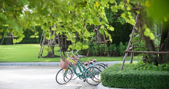 รูปภาพ คณาสิริ ชัยพฤกษ์ - วงแหวน (Kanasiri Chaiyapruek - Wongwaen)