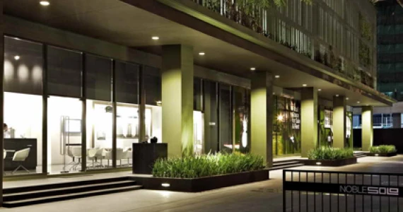 รูปภาพ โนเบิล โซโล (Noble Solo)