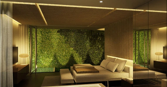 รูปภาพ บลูพอยน์ท