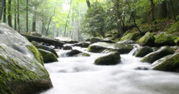 รูปภาพ ภูผาธารา เขาใหญ่ (Phuphatara Khaoyai)