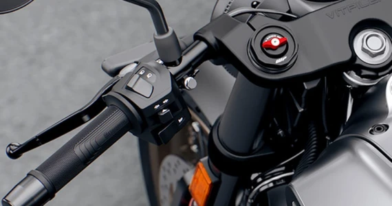 รูปภาพ ฮุสวาน่า Husqvarna Naked Vitpilen 401 ปี 2021