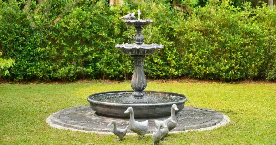 รูปภาพ อินดี้ บางใหญ่ 2 (Indy Bangyai 2)