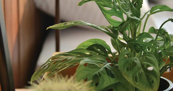 รูปภาพ ไลฟ์ บางกอก บูเลอวาร์ด วงแหวน - พระราม 9 (Life Bangkok Boulevard Wongwaen-Rama9)