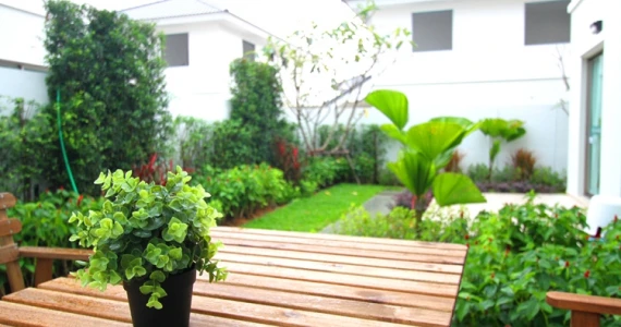 รูปภาพ ไลฟ อิน เดอะ การ์เด้น สวนเสือ - ศรีราชา (Life in the Garden)