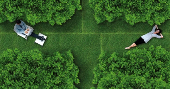 รูปภาพ บ้านดี เศรษฐกิจ (Baan D Setthakit)