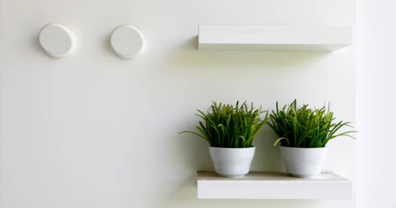 รูปภาพ อินดี้ บางนา (Indy Bangna)