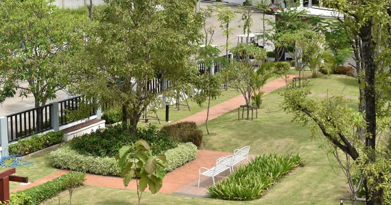 รูปภาพ บ้านงามเจริญ 9 ท่าข้าม - พระราม 2 (Baan Ngamcharoen 9 Takham - Rama 2)