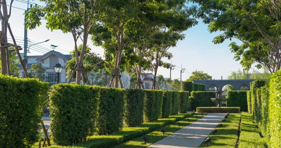 รูปภาพ อินดี้ เวสต์เกต (Indy Westgate)