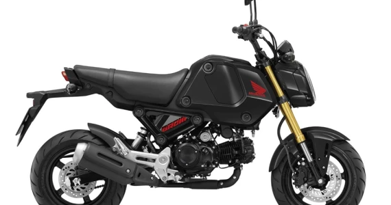 รูปภาพ ฮอนด้า Honda MSX125 GROM (STD) ปี 2022