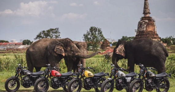 รูปภาพ สตาเลียน Stallions S-series SM 170i ปี 2021