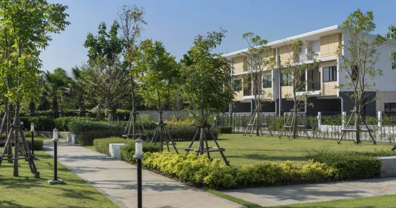 รูปภาพ พฤกษาพรรณ กระดีเดียว 3 (Pauksa Phan Kradi Diao 3)