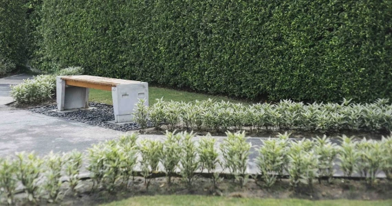 รูปภาพ เดอะริคโค้ ทาวน์ พหลโยธิน-สายไหม (The Ricco Town Phahonyothin - Saimai)