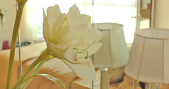 รูปภาพ เดอะ พาร์คแลนด์ แกรนด์ อโศก-เพชรบุรี (The Parkland Grand Asoke-Phetchaburi)