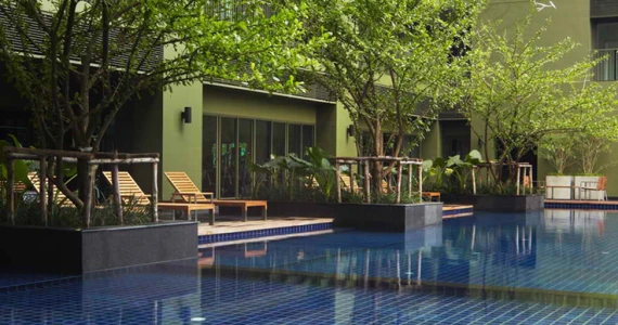 รูปภาพ โนเบิล โซโล (Noble Solo)