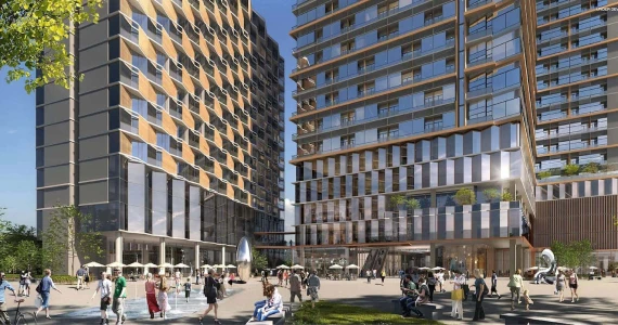 รูปภาพ ไซมิส พระราม 9 (Siamese Rama 9)