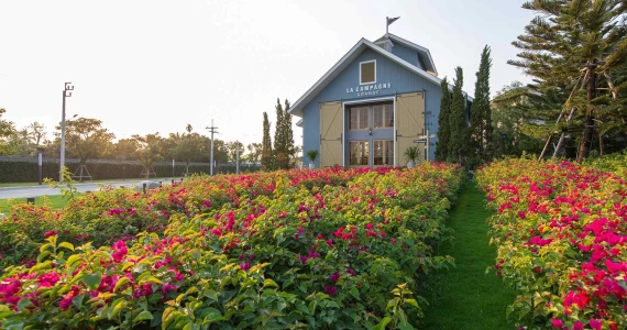 รูปภาพ อัญญ่า ราชพฤกษ์ - นครอินทร์ (Anya Ratchapruek - Nakorn Inn)