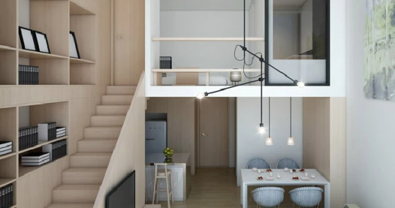 รูปภาพ ไซมิส จอยญ่า (Siamese Gioia)