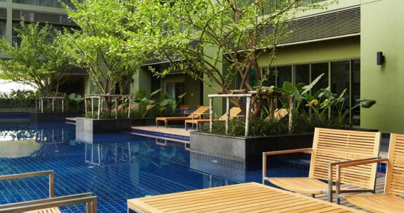 รูปภาพ โนเบิล โซโล (Noble Solo)