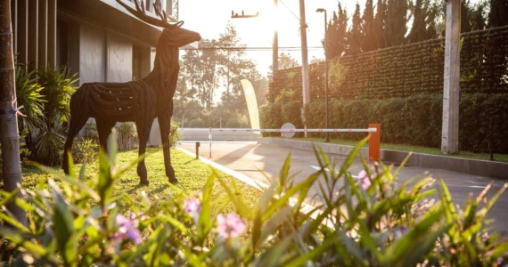 รูปภาพ เดอะ สตาร์ ฮิลล์ (The Star Hill)