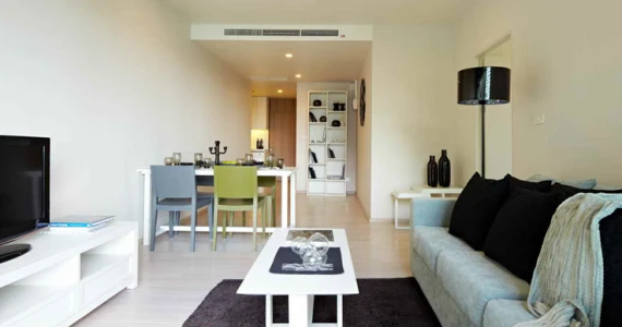 รูปภาพ โนเบิล โซโล (Noble Solo)