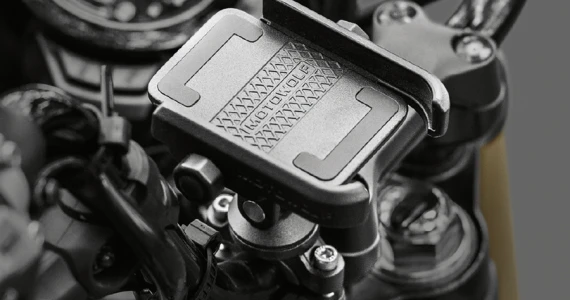 รูปภาพ ฮอนด้า Honda CT125 Country Trekking ปี 2020