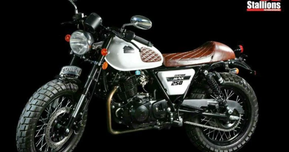 รูปภาพ สตาเลียน Stallions Centaur 250 Max ปี 2016