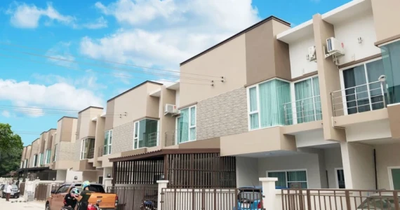 รูปภาพ ไอลีน ศรีราชา (Aileen Sriracha)