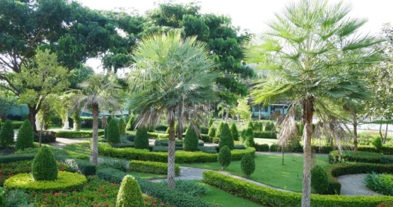 รูปภาพ ดีญ่า วาเล่ย์ ศรีราชา (Diya Valley Sriracha)