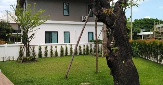 รูปภาพ วิลล่า ฟลอร่า เชียงใหม่ (Villa Flora Chiang Mai )