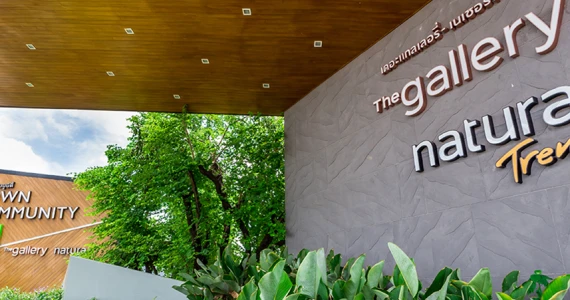 รูปภาพ เนเชอร่า รัตนาธิเบศร์-ราชพฤกษ์ (Natura Rattanathibet-Ratchapruek)