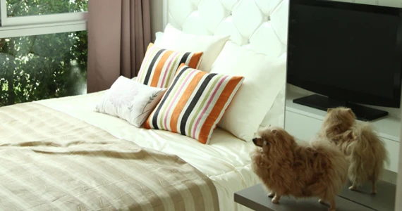 รูปภาพ เมโทรลักซ์ รัชดา (Metro Luxe Ratchada)